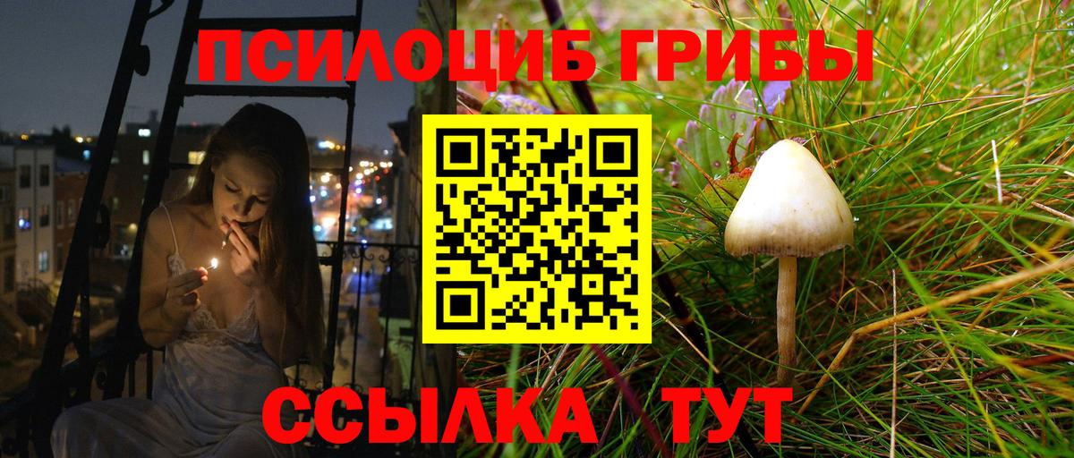 МЕТАДОН Осинники